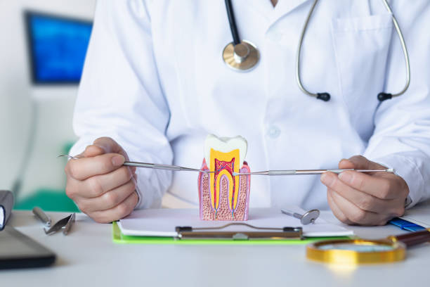 Best Emergency Cosmetic Dentistry in Ddleville, MI